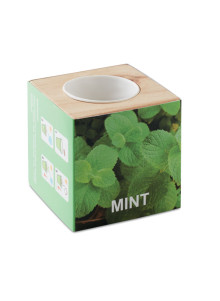 MENTA
