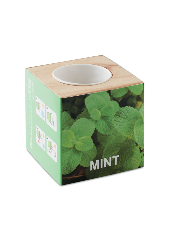 MENTA
