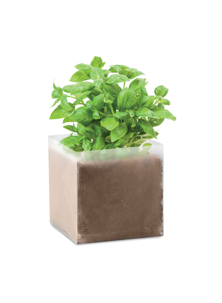 BASIL