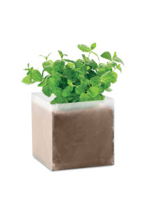 MINT