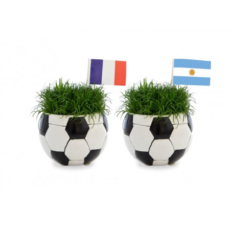 Plante dépolluante en pot céramique aimanté personnalisable