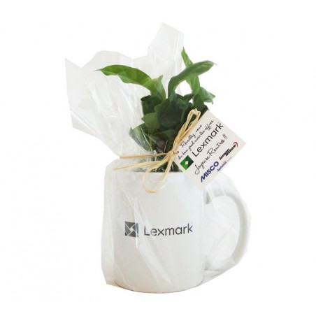 Caféier Plante en mug publicitaire