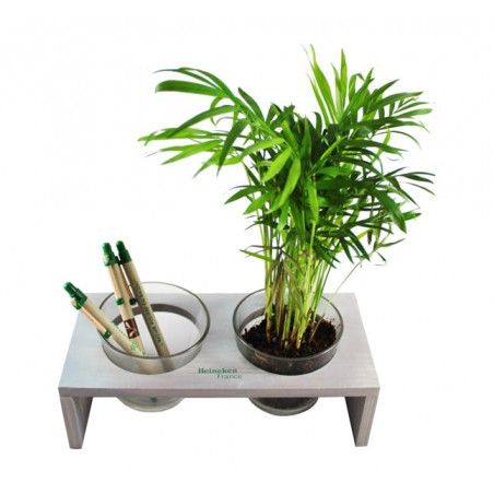 Pot verre plante dépollutante publicitaire