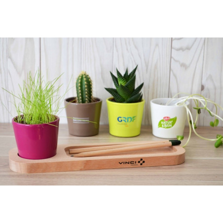 Plateau de plante publicitaire