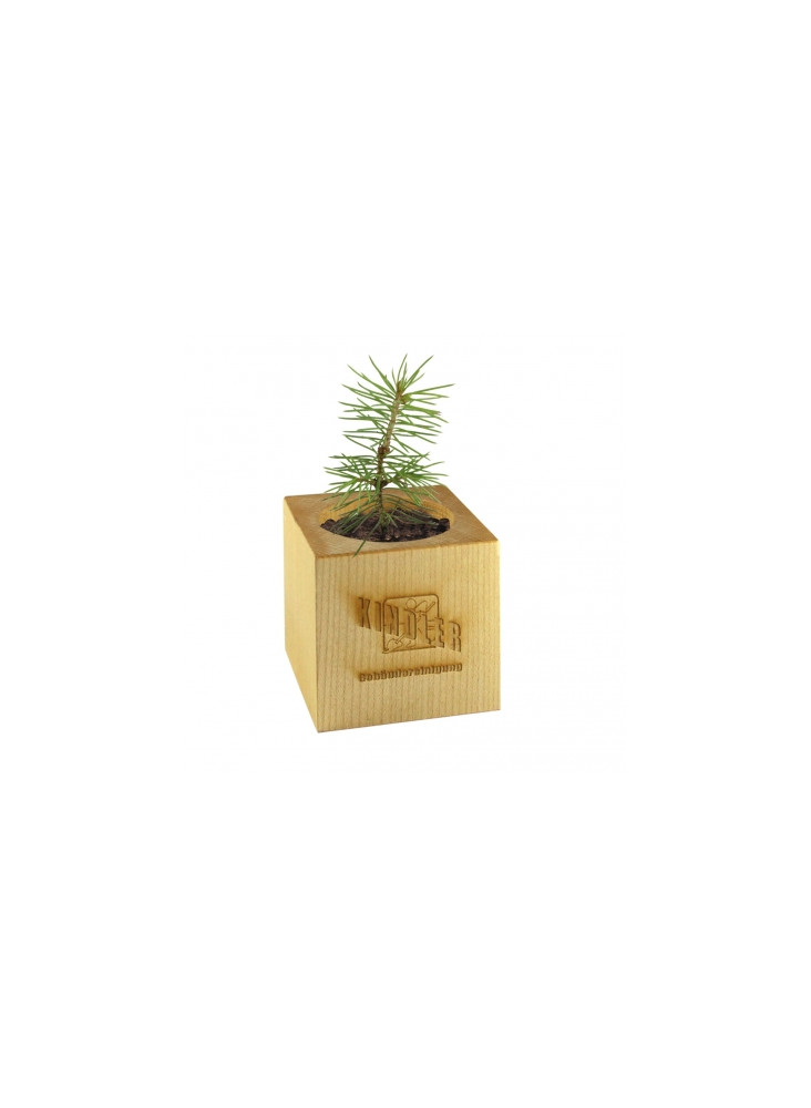 Pot en bois avec son kit de plantation personnalisé  publicitaire