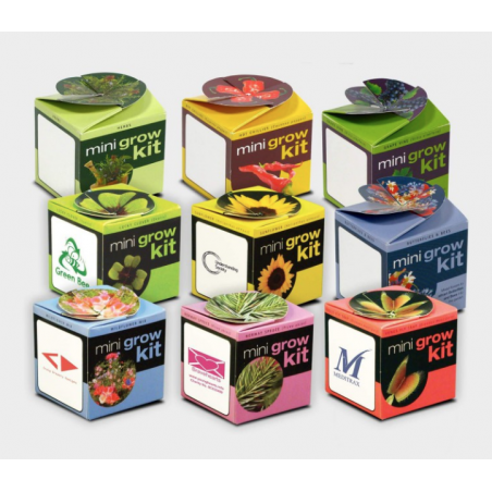 kit plantation cube publicitaire